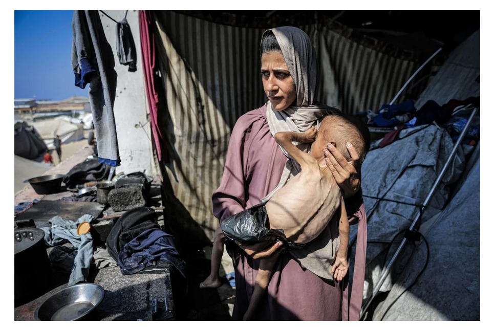 La FAO advierte: "Más de 800 millones de personas" en el mundo se consideran hambrientas